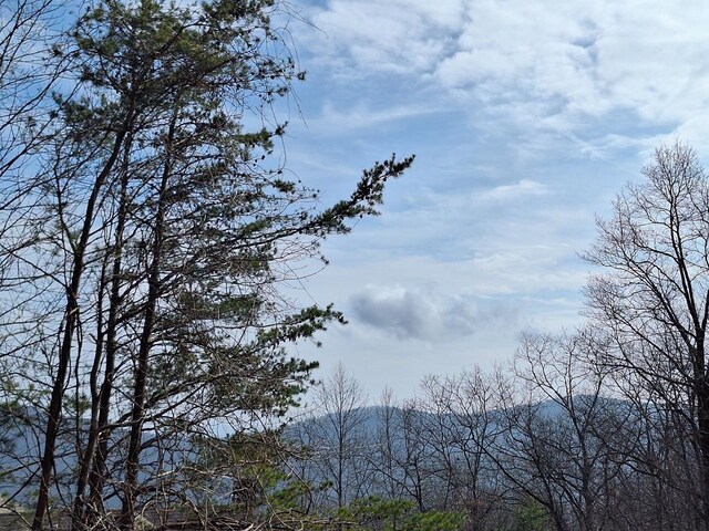 LOT2 Summit Pass, Chatsworth, GA 30705