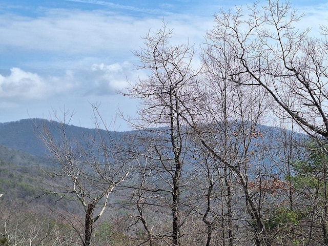 LOT2 Summit Pass, Chatsworth, GA 30705