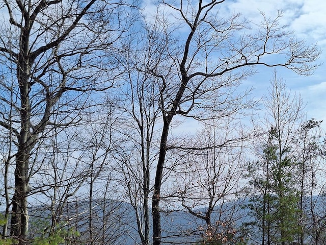 LOT2 Summit Pass, Chatsworth, GA 30705