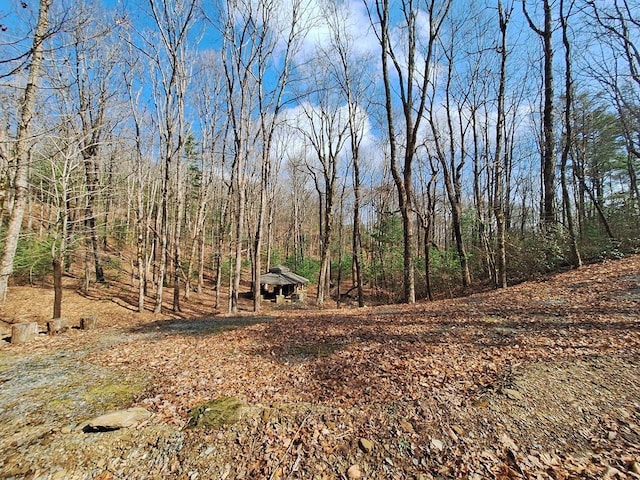 LOT2 Summit Pass, Chatsworth, GA 30705