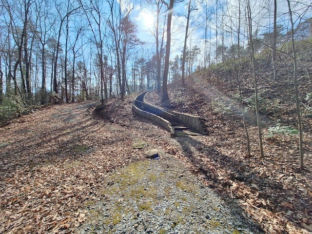 LOT2 Summit Pass, Chatsworth, GA 30705