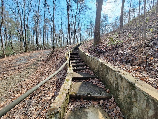 LOT2 Summit Pass, Chatsworth, GA 30705