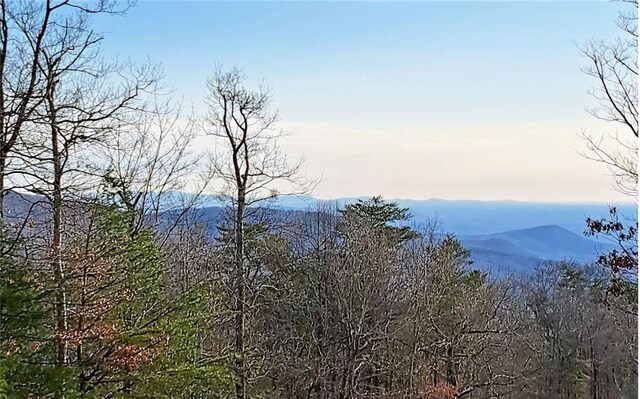 LOT2 Summit Pass, Chatsworth, GA 30705