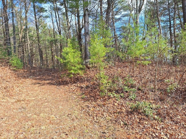 LOT2 Summit Pass, Chatsworth, GA 30705