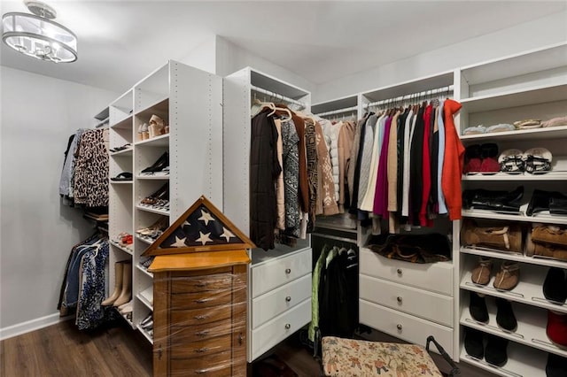 7537 Brookstone Cir, Flowery Branch, GA 30542 - walk in closet with wood finished floors and a chandelier