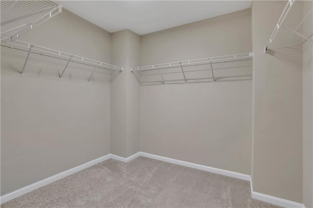 spacious closet featuring light carpet