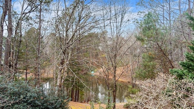 view of landscape featuring a water view