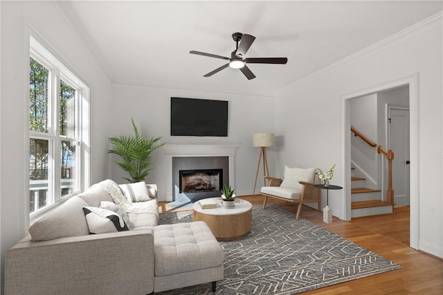 living room featuring a fireplace, wood finished floors, a ceiling fan, stairs, and crown molding