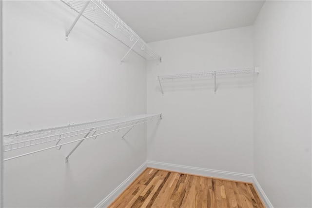 walk in closet featuring light wood-style floors