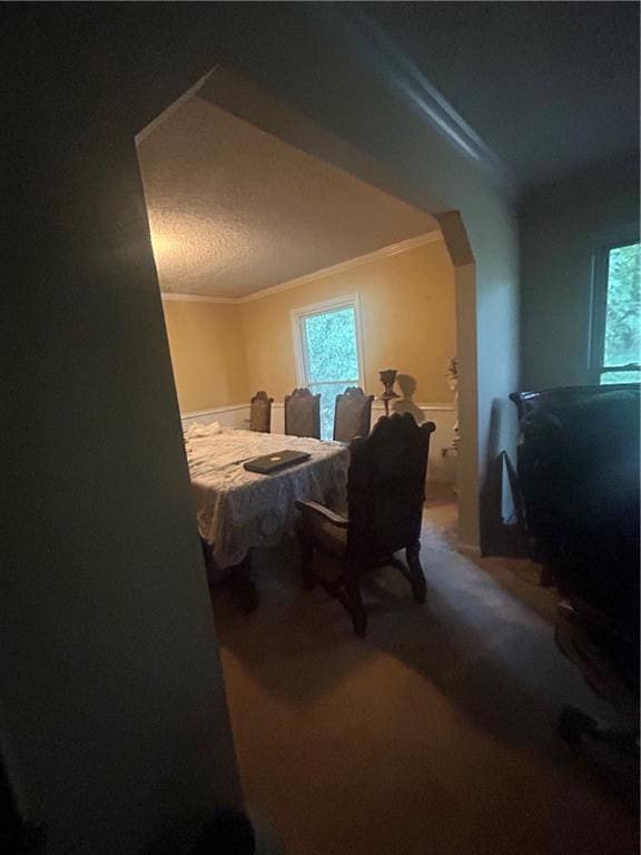 bedroom with ornamental molding, carpet, and multiple windows