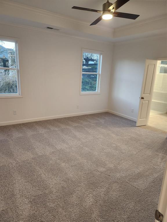 carpeted spare room featuring a raised ceiling, ceiling fan, and crown molding