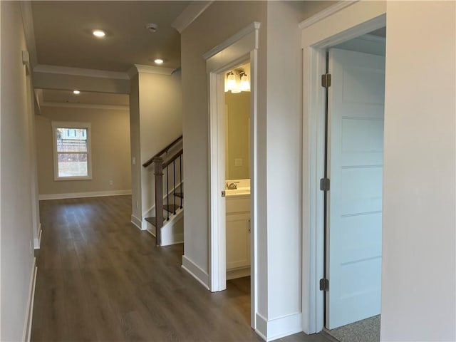 corridor featuring sink, dark wood-type flooring, and ornamental molding