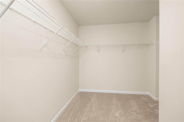 walk in closet with carpet