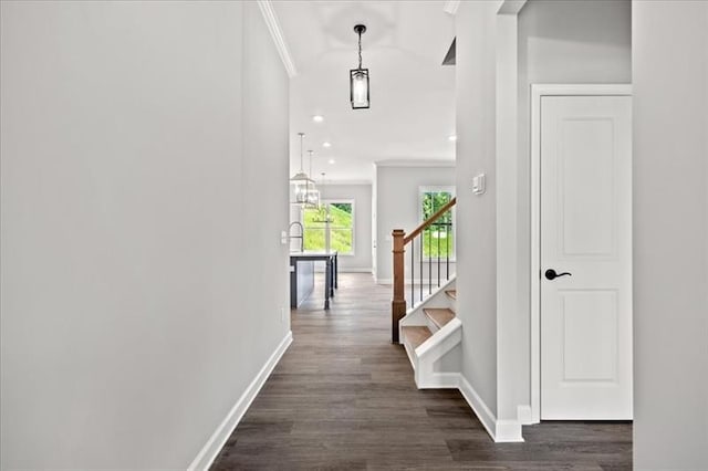 hall featuring recessed lighting, baseboards, stairs, dark wood-style floors, and crown molding