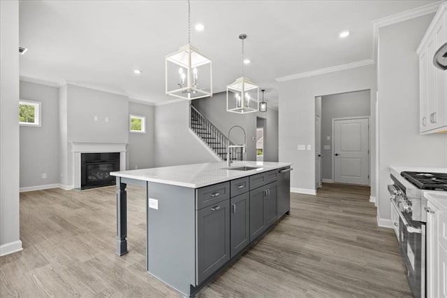 kitchen featuring gray cabinetry, appliances with stainless steel finishes, a fireplace with flush hearth, ornamental molding, and a sink