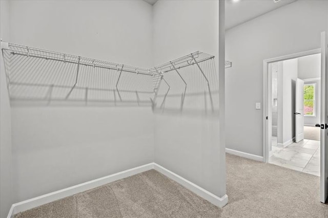 walk in closet with carpet floors