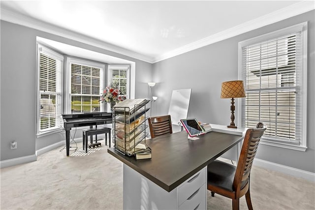 office area featuring light carpet and crown molding