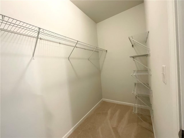 walk in closet featuring light colored carpet