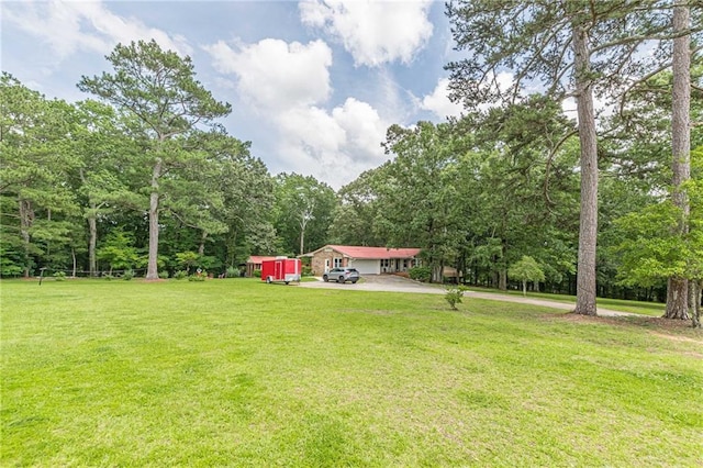 7234 Post Rd, Winston, GA 30187 - view of grassy yard featuring driveway