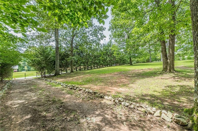 7234 Post Rd, Winston, GA 30187 - view of yard