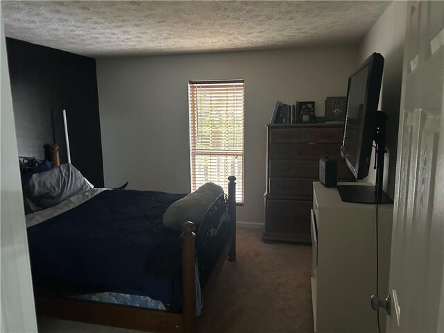 122 Sterling Ct Unit 122, Alpharetta, GA 30004 - bedroom with a textured ceiling, carpet floors, and baseboards