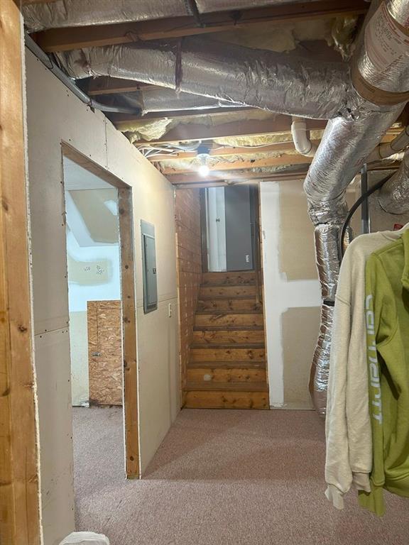 stairway featuring carpet flooring and electric panel