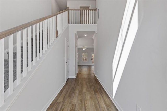 hallway with baseboards, wood finished floors, and a high ceiling
