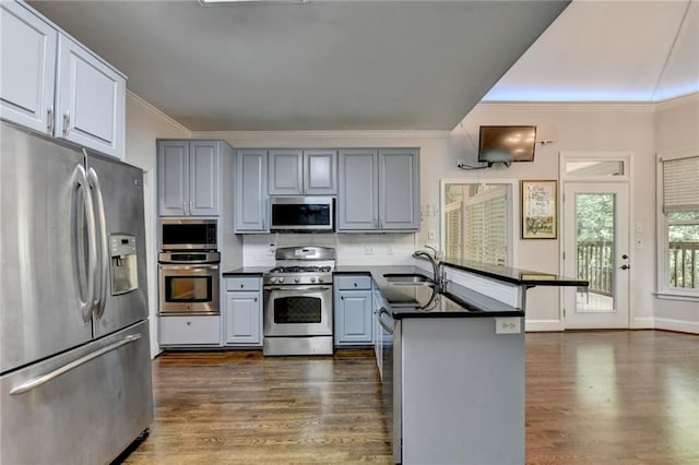 kitchen with a peninsula, appliances with stainless steel finishes, a sink, and gray cabinetry