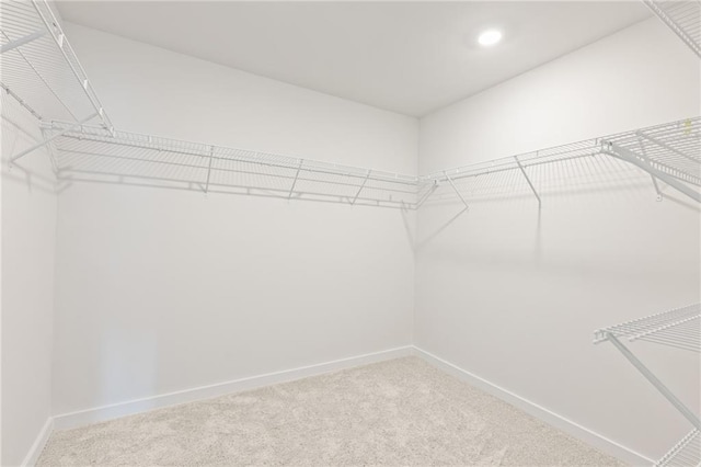 spacious closet featuring carpet floors