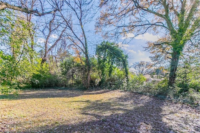 3147 Canary Ct, Decatur, GA 30032 - view of yard
