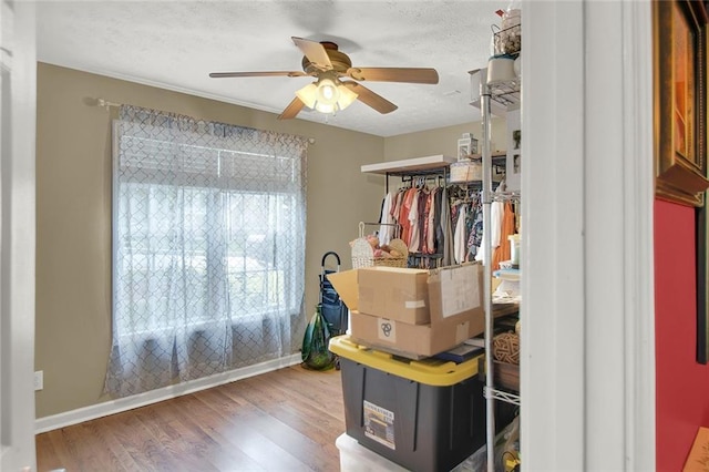 1784 Virginia Grove Ln, Lawrenceville, GA 30045 - bedroom with wood finished floors, a ceiling fan, and a textured ceiling