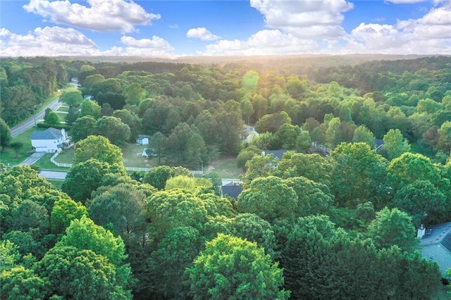 1784 Virginia Grove Ln, Lawrenceville, GA 30045 - aerial view of a forest