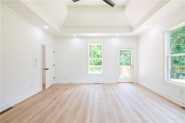 spare room featuring light hardwood / wood-style flooring and a raised ceiling