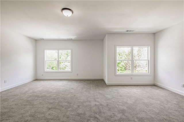 unfurnished room with carpet and a wealth of natural light