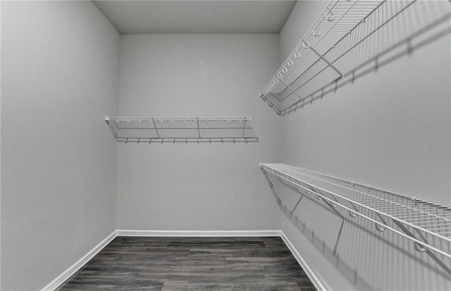 walk in closet featuring dark wood-type flooring