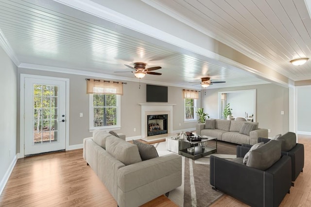 3464 Maynard Cir, Gainesville, GA 30506 - living area with crown molding, plenty of natural light, light wood-style flooring, a fireplace with raised hearth, and ceiling fan