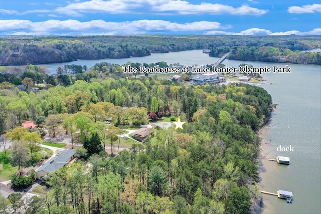3464 Maynard Cir, Gainesville, GA 30506 - aerial view of a forest and a large body of water