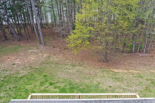 3464 Maynard Cir, Gainesville, GA 30506 - view of yard