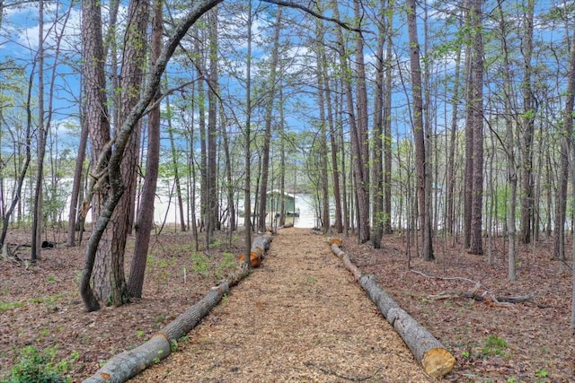 3464 Maynard Cir, Gainesville, GA 30506 - view of yard with a wooded view
