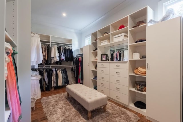 spacious closet with dark hardwood / wood-style floors