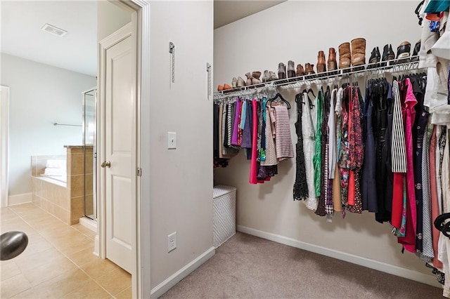 715 Saybeck Way, Milton, GA 30004 - view of walk in closet
