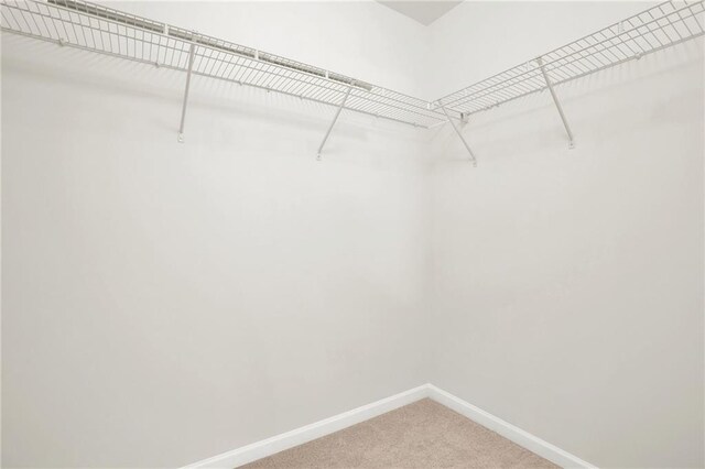 spacious closet with carpet flooring