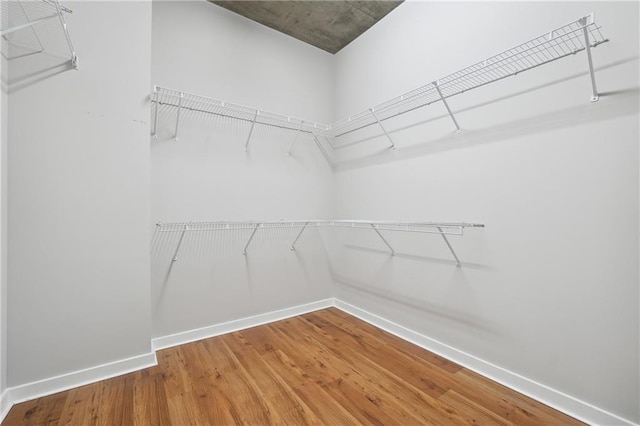 walk in closet with wood-type flooring