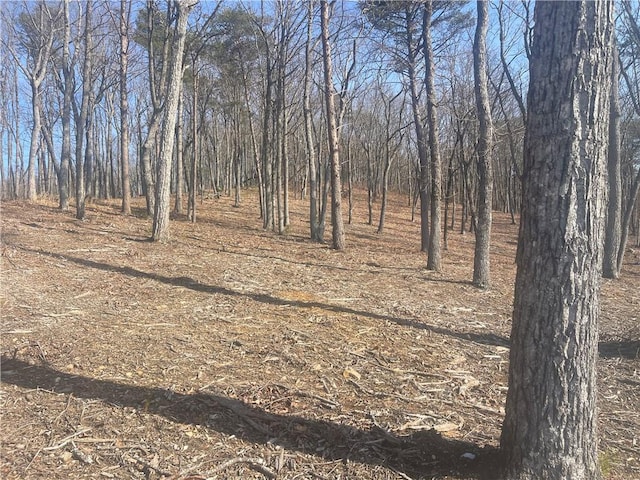 Listing photo 2 for LOT17 High Summit Dr, Talking Rock GA 30175