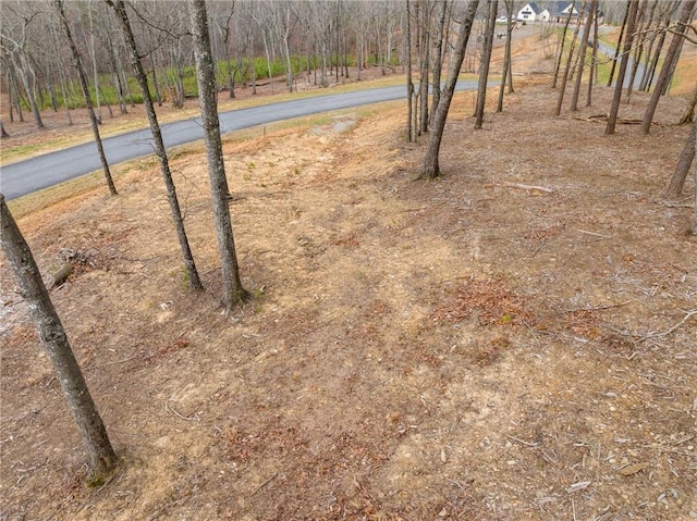 Listing photo 3 for LOT17 High Summit Dr, Talking Rock GA 30175