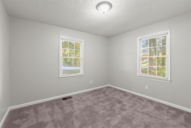 spare room featuring a textured ceiling, carpet, and a wealth of natural light