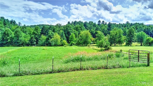 view of yard with a rural view and fence