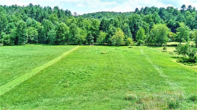 drone / aerial view featuring a rural view