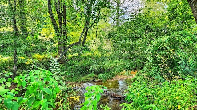 view of nature featuring a view of trees