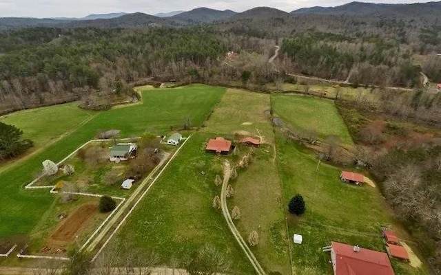 birds eye view of property with a mountain view and a rural view